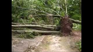 Fredenbaumpark 10 Tagen nach dem Unwetter (09 06 2014)