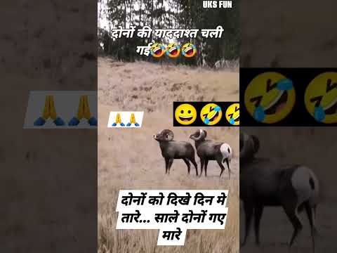 दोनो को दिन में तारे दिखे #comedy #arvindcomedy108