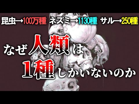 【普通は複数種いる】ヒト科ヒト属の生物が1種しかいない理由【ゆっくり解説】【雑学】