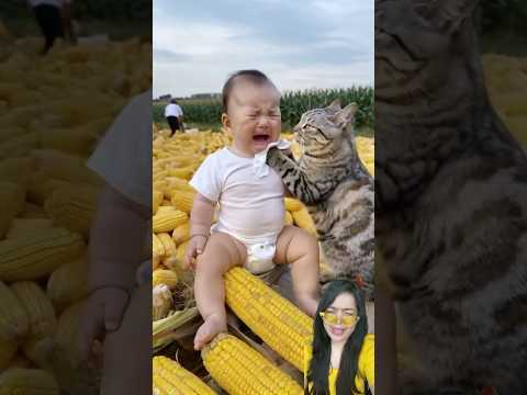 DEDEK BAYI SAMA SI MEONG GEMESS BANGET DEH 😊‼️ #cat #cute #baby #shortvideo
