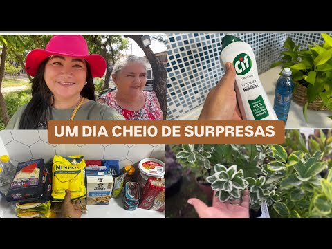 Mostrei a nova versão da casa pra mãe e olha a reação dela + pedreiro finalizou a obra