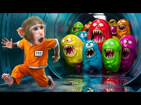 KiKi Monkey run to escape from Prison Maze & Hide and Seek Monster Chase Adventure |KUDO ANIMAL KIKI