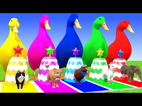 5 Giant Duck Cartoon,Cow,Elephant,Tiger,Lion,Dinosaur,Paint Wild Animals Crossing Fountain Animation