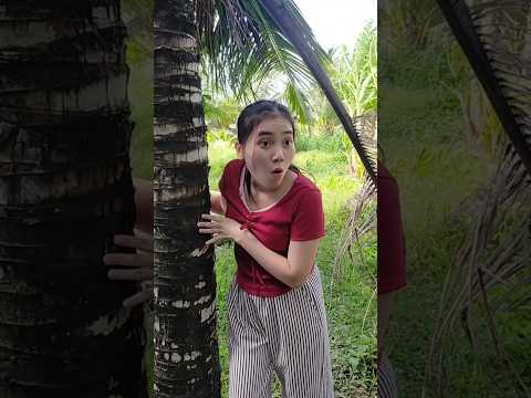 kaka 😂😂😂 so funny the girl working in the garden encountered a funny situation #KhoiHungfunny #funny