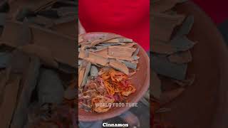 Chicken Biriyani | Biriyani Recipe | WORLD FOOD TUBE