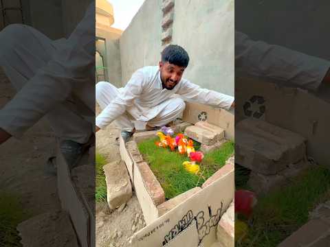 Colourful chicks greesey playground #shortvideo #youtubeshort #short