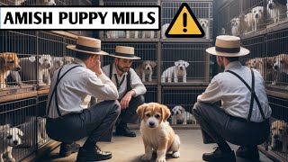Exposing the Dark Secret Behind Amish Puppy Mills – You Won’t Believe This!