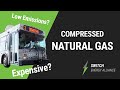Compressed Natural Gas (CNG) and Its Applications