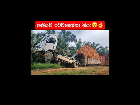 තනියම පටවාගත්තා ගියා😲👌#truck #dumptruck #skills #Amazing #crazy #wow #technology  #automobile