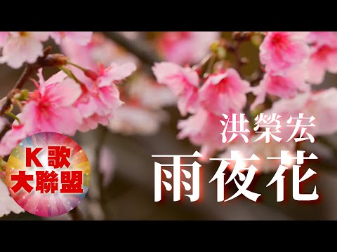 洪榮宏-雨夜花【KTV導唱字幕】