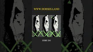 The Impact of Coworkers