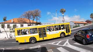 Walking around Funchal in the sunny day.