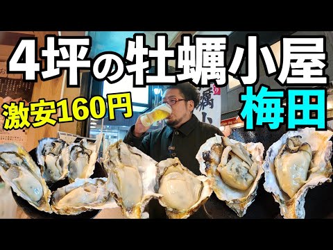 梅田で4坪の激安牡蠣小屋1人飲み【4坪牡蠣小屋キヨリト 梅田芝田店】#牡蠣　#梅田グルメ　#大阪グルメ