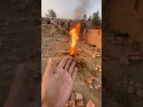 Salva a los pollitos de colores del agujero de fuego.