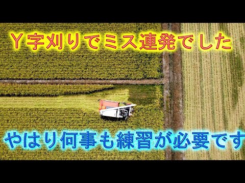 雨かと思いきや結構稲刈り出来た・今シーズン初のＹ字刈りと中割り刈りだったがやらかした・2024