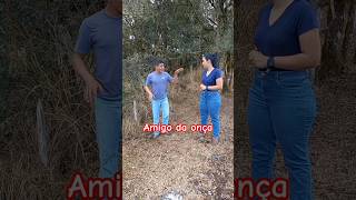 amigo da onça #shorts #humor #viralshorts