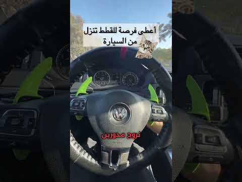 قبل ما تركب السيارة فى الشتاء ‼️