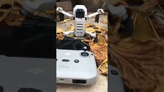 DJI mini 2 🥰 #reels #shorts #reelsvideo #shortvideo #dji #djimini2 #djimini3pro #drone #trending