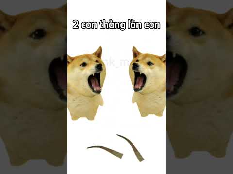 2 con thằng lằn doge ☠☠☠ #cheems #viral #funny #doge #memes #xuhuong