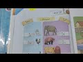 Kuis Tentang Al-Hayawanat