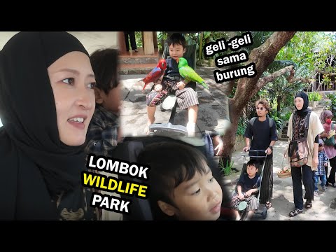 AJAK YUSUF DAN ISTRI KE KEBUN BINATANG LOMBOK !