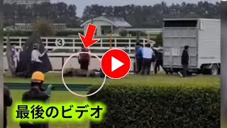 【速報】マイユニバース急性心不全で死亡｜宝塚記念2026で競走中止の衝撃映像