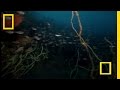 Exploration of Suruga Bay