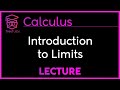 Understanding Limits in Calculus