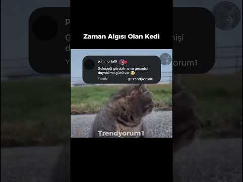 Zaman hissi 😂