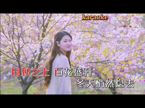 李欣桐 花又開karaokeKTV 伴奏 左伴右唱 karaoke 卡拉OK 伴唱 instrumental李欣桐 花又開karaoke