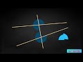 Understanding Euclid's Parallel Postulate