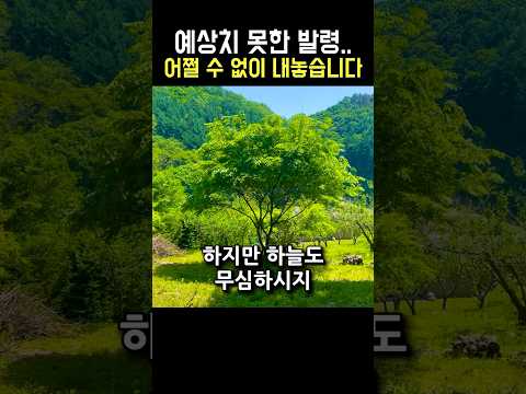 정말 아름다운 주택입니다. 충주시