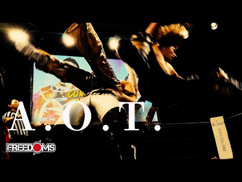 【11.1インイタ大会試合動画】正岡大介、ドラゴン・リブレ vs ガイア・ホックス、アックス・ワン FREEDOMS...