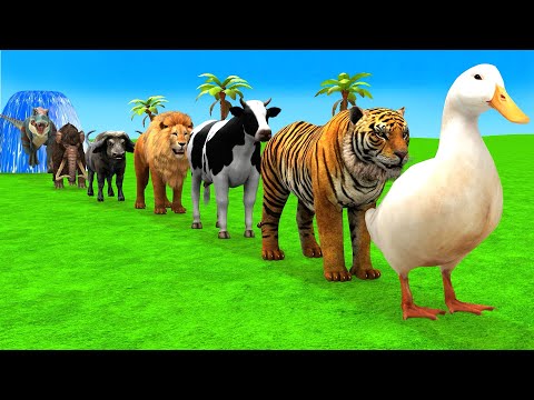Long Slide Game With Elephant Gorilla Buffalo Hippopotamus Tiger - 3d Animal Game - Funny 3d Animals