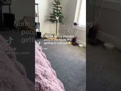 i love this trend #repost #relatable #tiktok