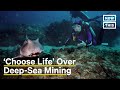 Deep Sea Mining and Conservation Issues