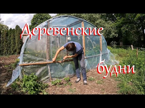 Огородный влог. Жизнь на Лесном Хуторе.
