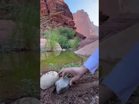 #cooking #food #اكسبلور #الجيلي #recipe #food السعودية  #وصفات #شاي #nature