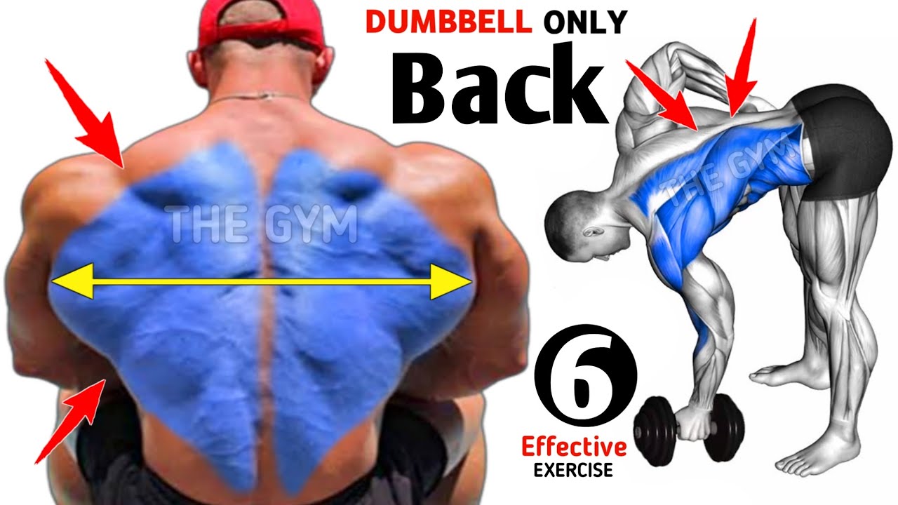 Back workout with dumbbells ( 6 effective exercise )