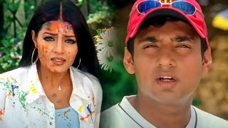 क्रिकेट बॉल ने सेलीना जेटली की पेंटिंग ख़राब कर दी
