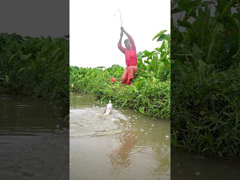 The village boy is catching fish from the canal with a hook | #shortvideo #shorts #fishing #video