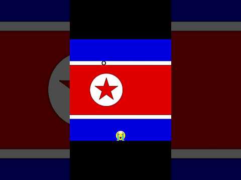 the best reflection of flags 2
