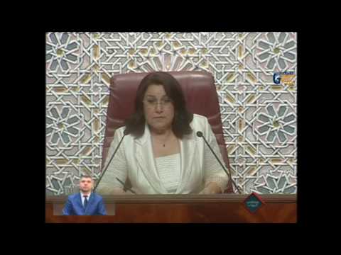 (08) النائب عبد الله هامل في تعقيب إضافي حول الشروع في اعتماد الابناك التشاركية