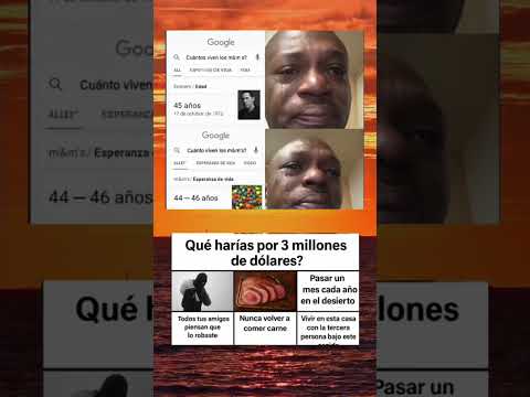 😂 Memes que no deberías ver en clase… pero igual lo harás | Momazos Gato graciosos