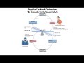 Homeostasis and Feedback Mechanisms