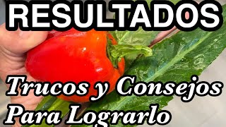 Cómo Comenzar Un Huerto o Una Finca