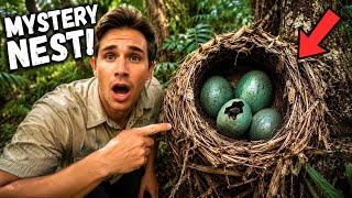 Finding a Nest of BABY ANIMALS on My Property!