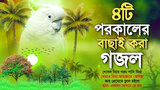 খুবই দুঃখের মন প্রাণ উজাড় করা ৪টি পরকালের গজল | Very Heart Touching Top 4 Islamic Song | Ghazal