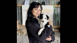 Jenna ortega | edit #wednesday #jennaortega#edit