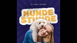 #258 - Hunde-Frage-Stunde im April mit Melle Hofmann